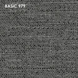 Basic 979