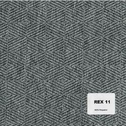 Rex 11